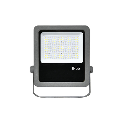 Aluminium Die-Casting 100W Led Flood Lights Indoor Garden Floodlight Cho Công viên giải trí