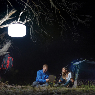 Đèn bóng LED 60W 2.05m Đèn bóng không thấm nước Đèn bóng đứng Đèn di động cho trại